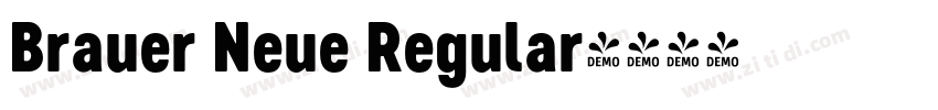 Brauer Neue Regular字体转换